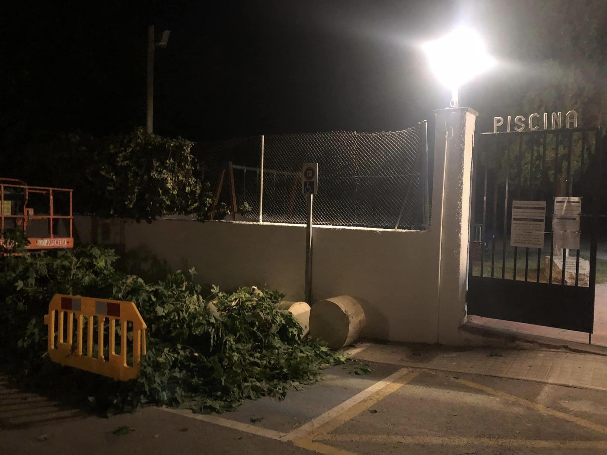 Nàquera tala el gigante árbol de la piscina municipal "para proteger el vaso" ante críticas de la ciudadanía
