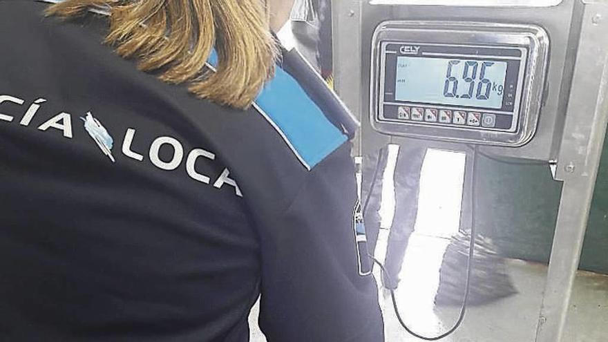 Parte de la almeja incautada en A Reiboa. // Policía Local