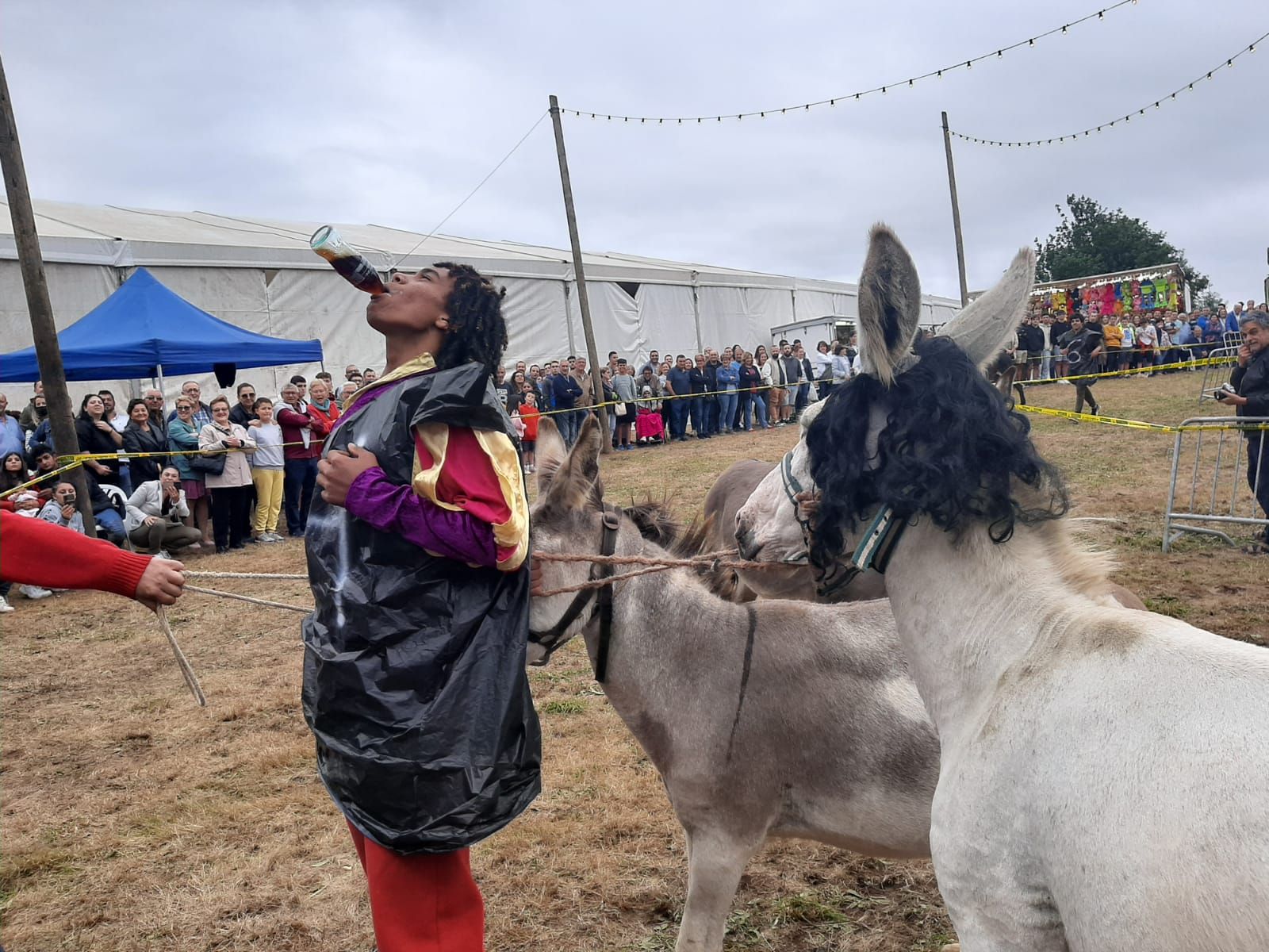 Collao, la competición más bestial: ocho burros disfrazados y a la carrera