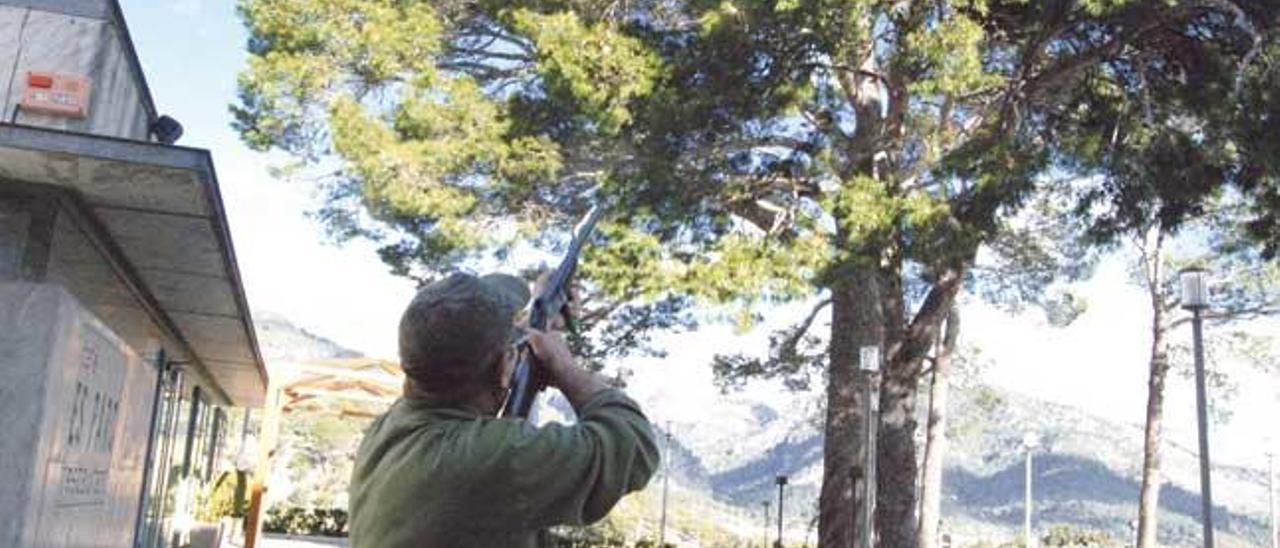 Un cazador de Selva dispara a una bolsa de orugas situada en el parque de la localidad.