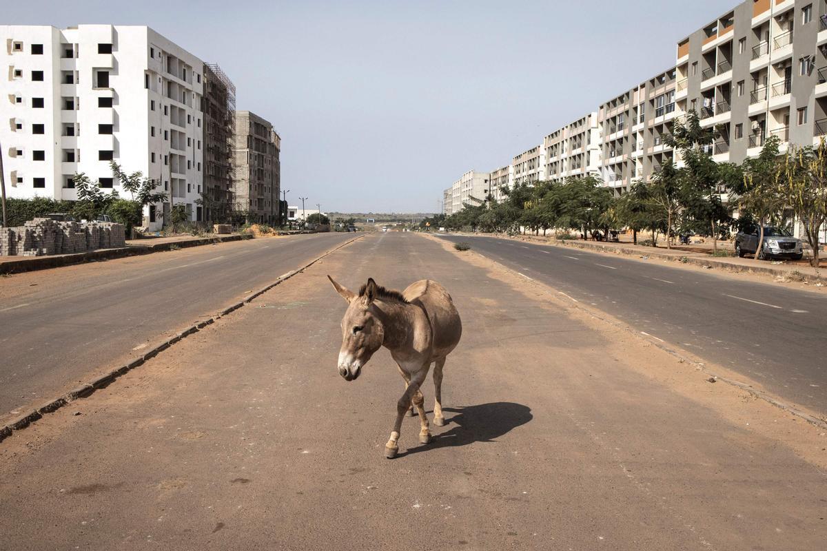 Estos son los trabajadores que construyen la nueva ciudad de Diamniadio (Senegal)