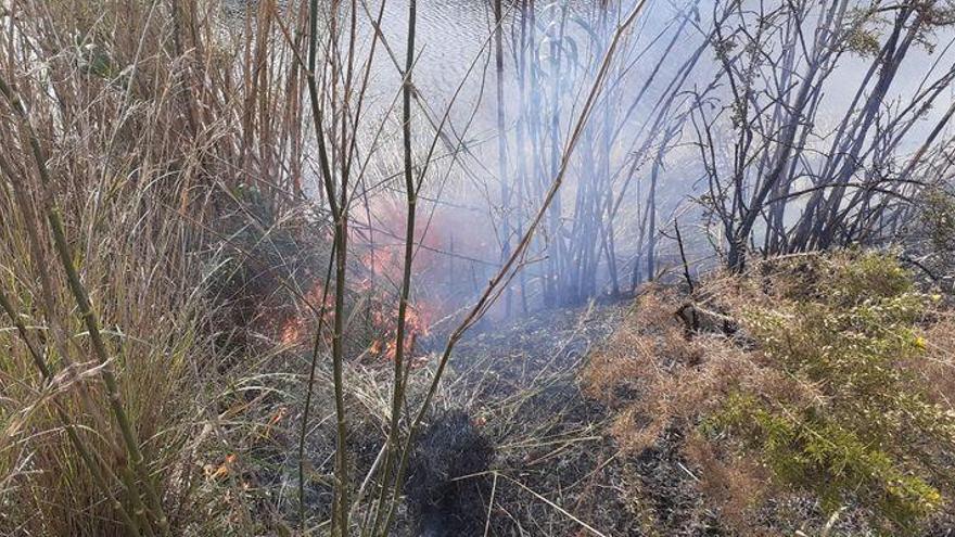 Pequeño incendio forestal en el Paisaje Protegido de la Desembocadura del Millars