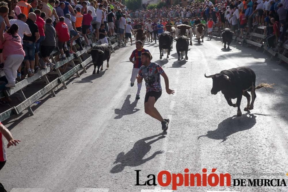 Segundo encierro de Calasparra