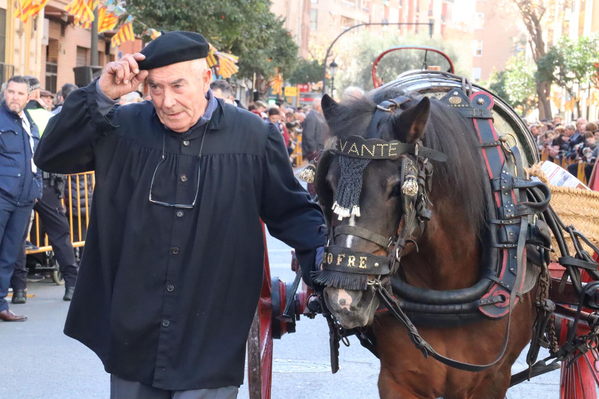 Perros policía y animales de granja completan el desfile de Sant Antoni en València