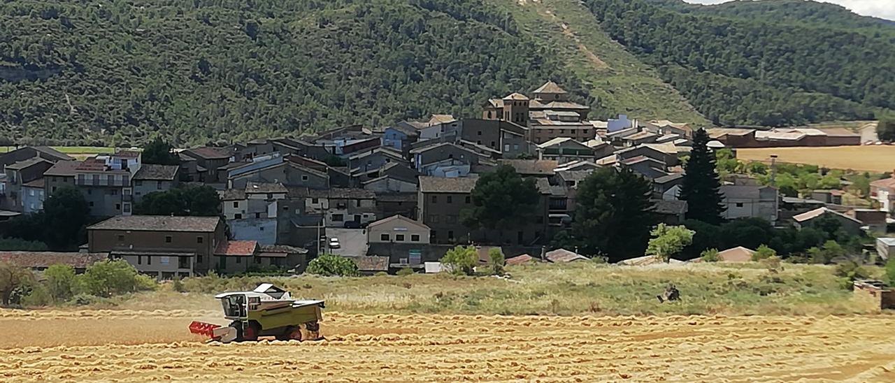 Cosecha de un campo de cereal en Biscarrués, Huesca.