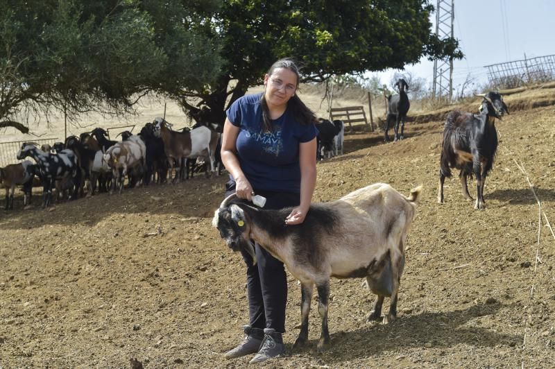 Con mucho geito: Dunia Moreno Gil, veterinaria y ganadera trashumante