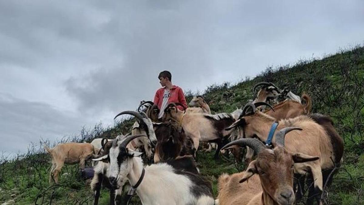 Kike Huerta, pastoreando a sus cabras en Cangas de Onís.