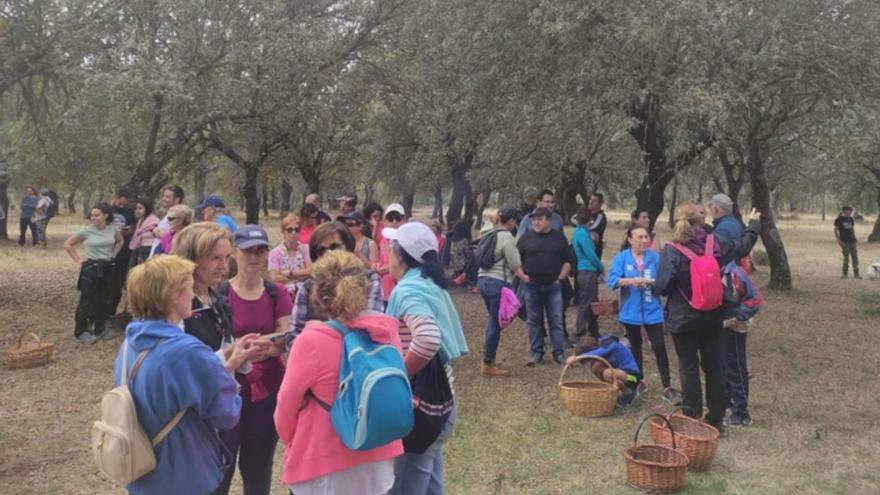 El Parque Micológico del Noroeste Zamorano, motor de desarrollo rural