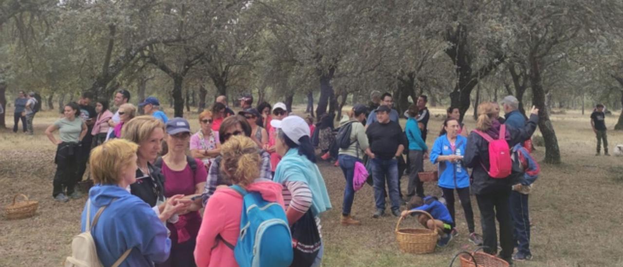 San Pedro de Ceque acogió ayer una jornada micológica, con motivo de la inauguración del Parque Micológico. | |  CEDIDAS