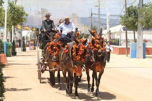 Córdoba está de feria