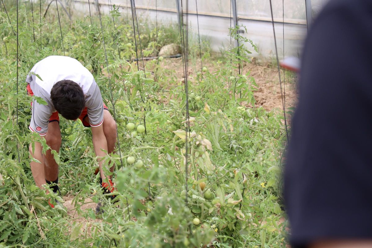 Un chico se esmera en uno de los viveros que se encuentran dentro del recinto de La Zarza, donde cumple condena.