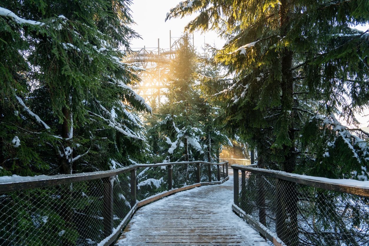 El puente peatonal más grande del mundo