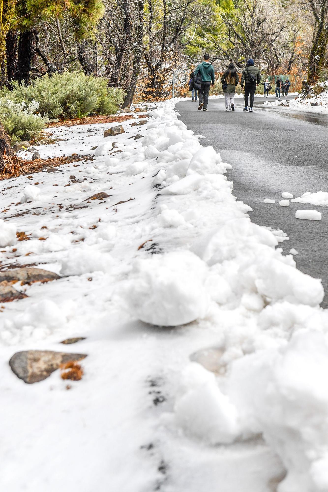 Nevada en Gran Canaria (16/02/23)