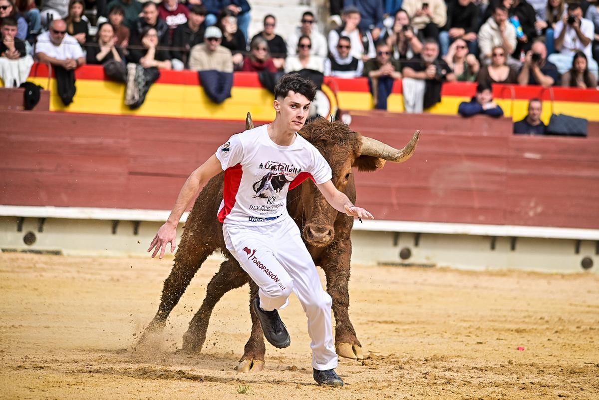 Galería de imágenes: Los maestros de la calle toman la plaza de Castelló