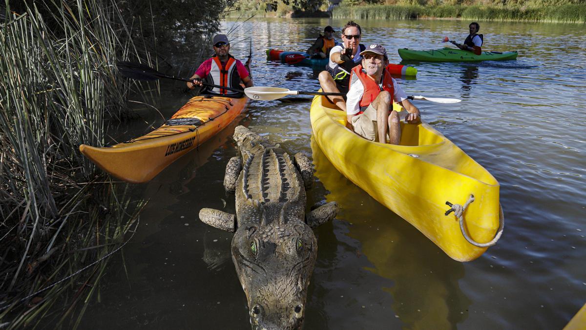 El caimán de la Fuensanta vuelve al Guadalquivir