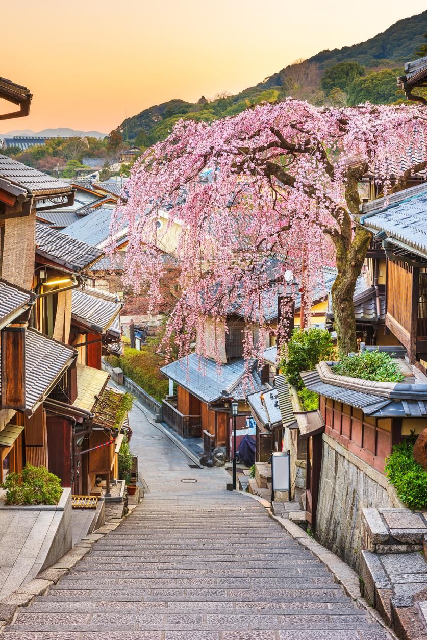 La primavera en Kioto es una de las más bonitas del mundo