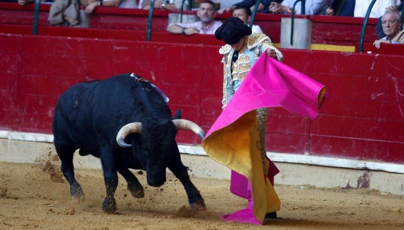 Novillada en la plaza de Toros