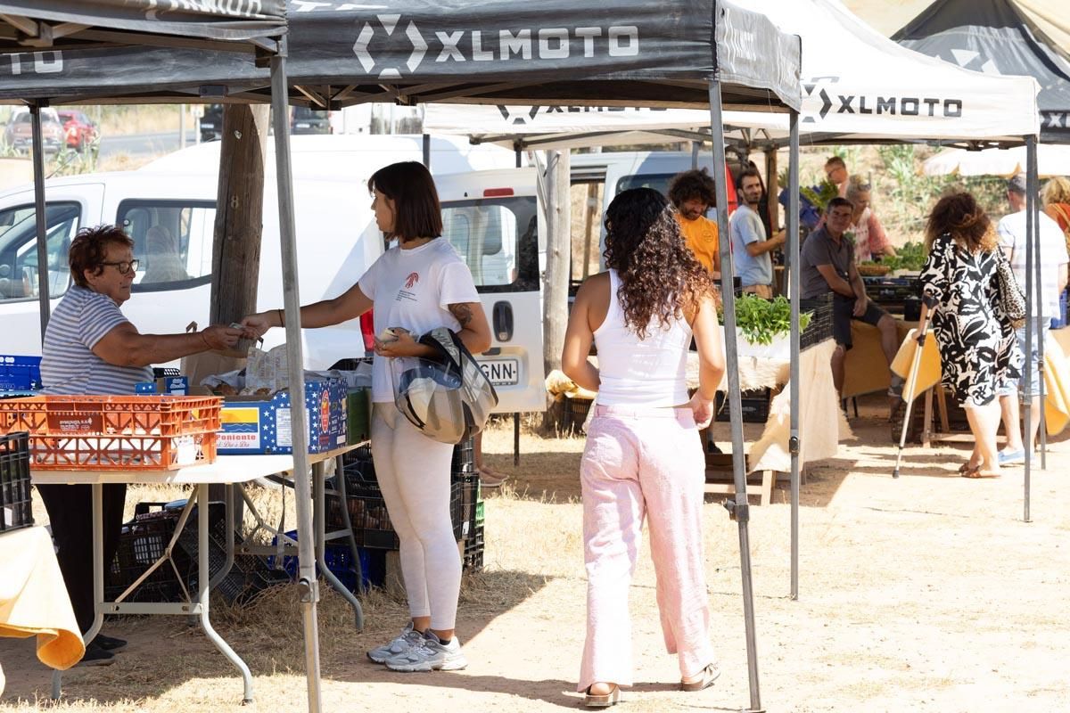 Las imágenes del mercado de sa cooperativa de Sant Antoni