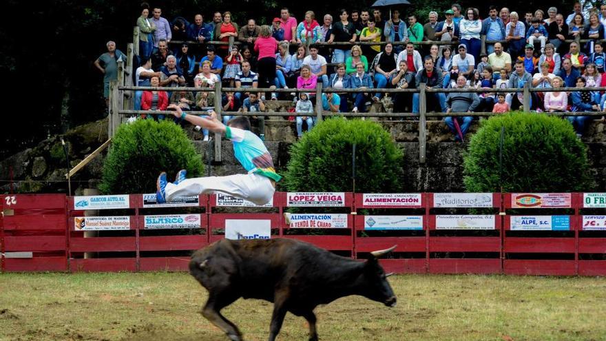 Un recortador durante la capea del pasado año en Valga