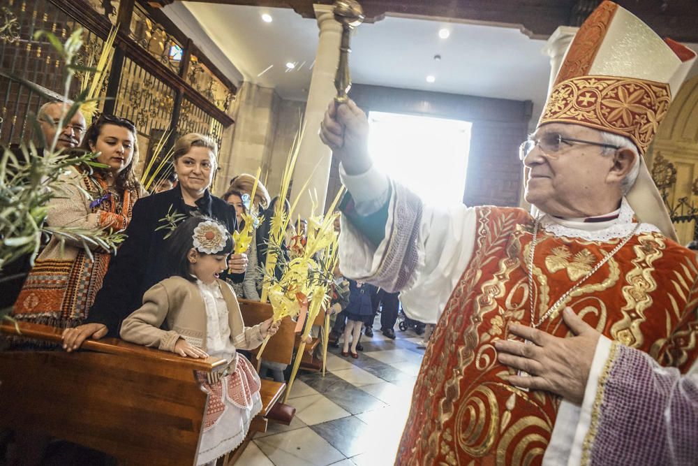 Domingo de Ramos en Orihuela