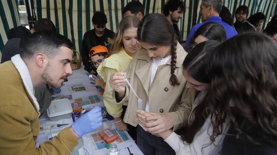 El Vial se convierte en un gran laboratorio