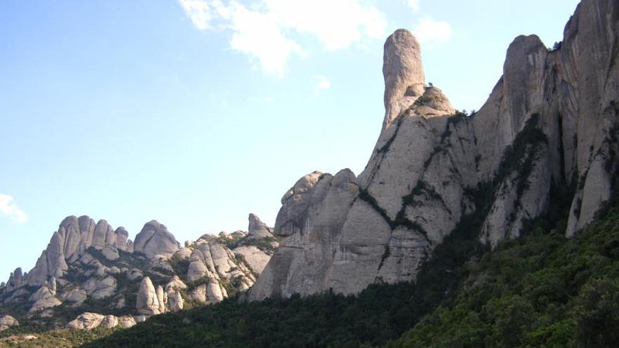 Vista del Cavall Bernat, fins on es faran pujar les fotos dels polítics presos i exiliats.