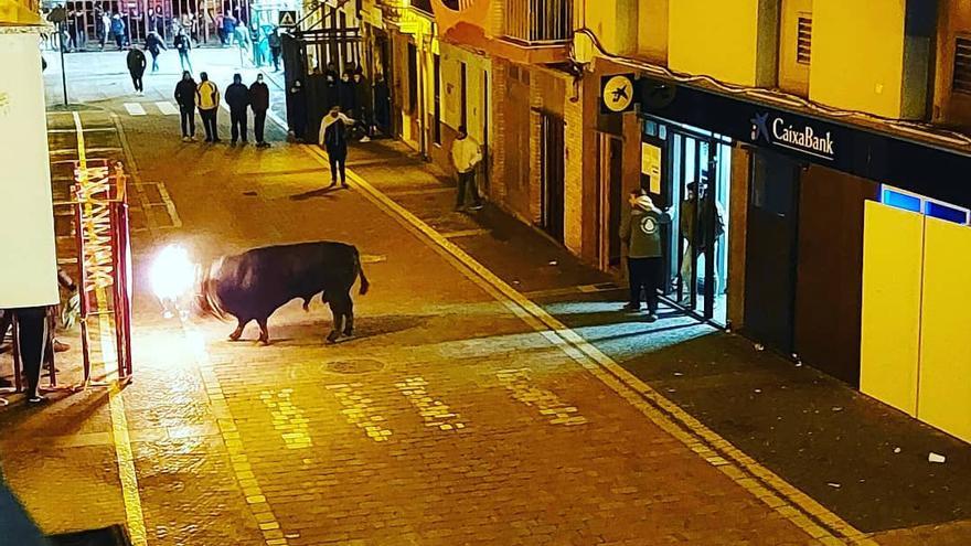 Los vecinos también pudieron disfrutar del toro embolado.