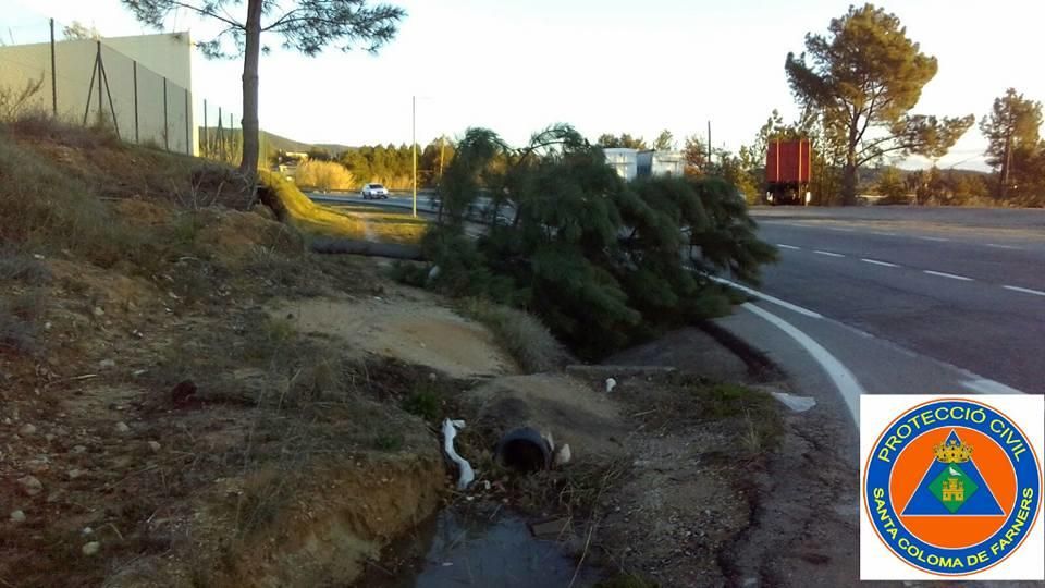 Incidències pel vent a Santa Coloma