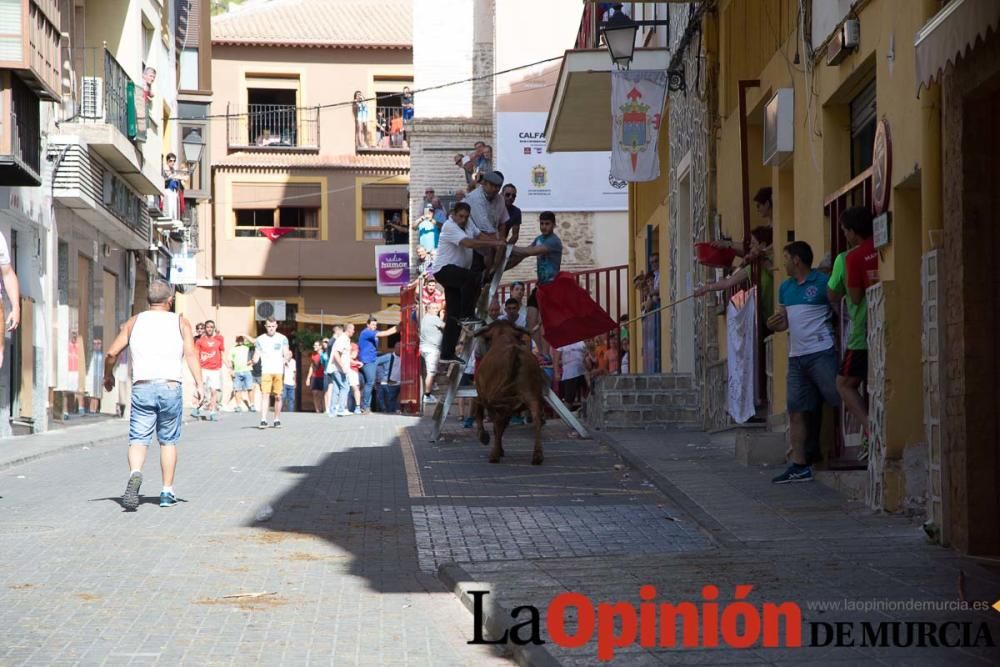 Primer encierro Fiestas de Moratalla