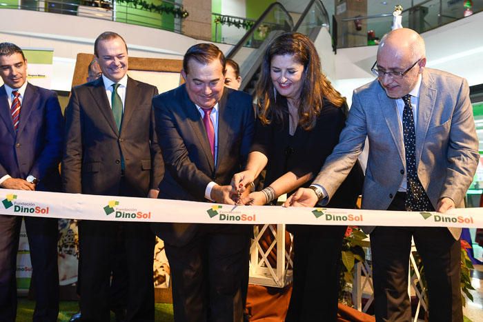 INAUGURACION BELEN HIPERDINO DE MILLAR