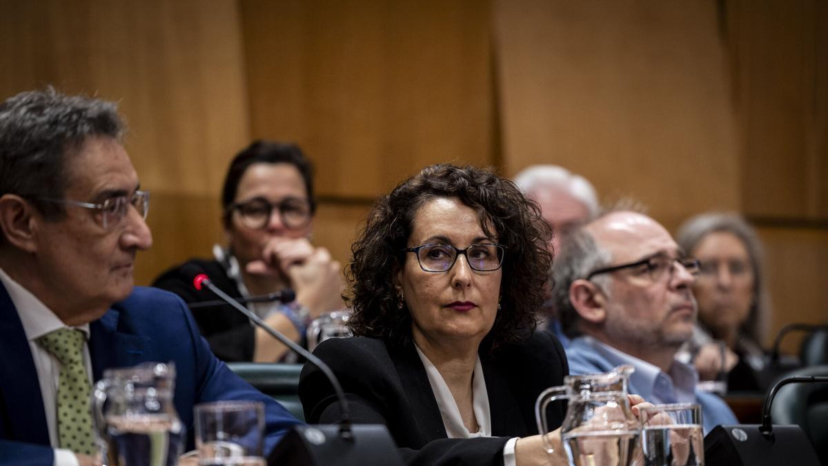 Vox se desinfla en Zaragoza y deja de tener la llave de la gobernabilidad tras la polémica salida de su portavoz