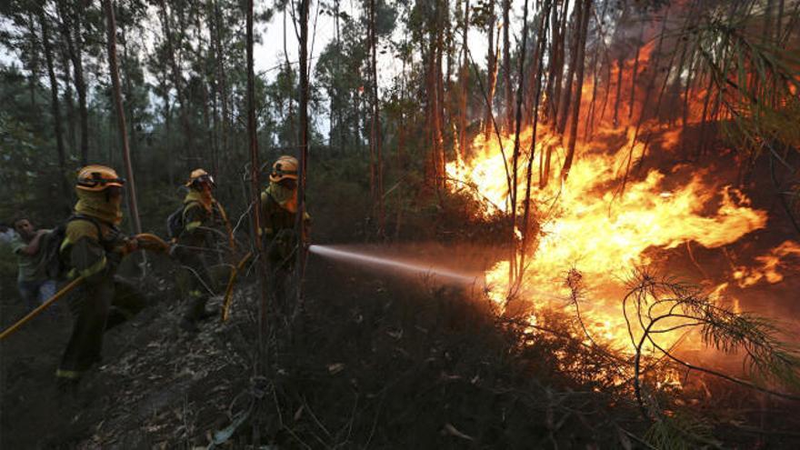 Los incendios que asolan Galicia