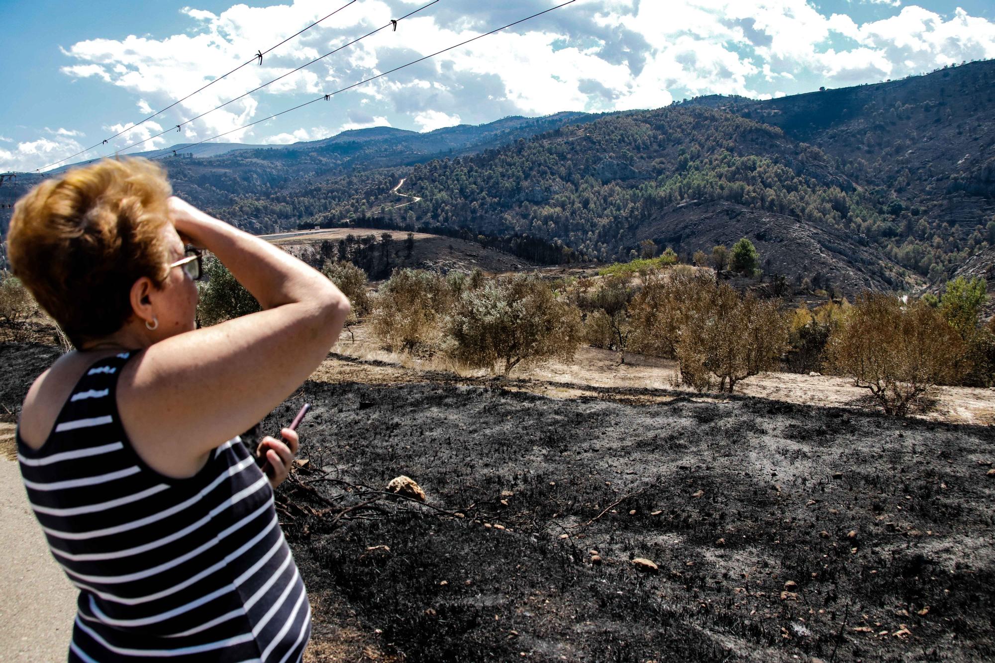 Los Bomberos prevén estabilizar el incendio de la Vall d'Ebo en las próximas horas