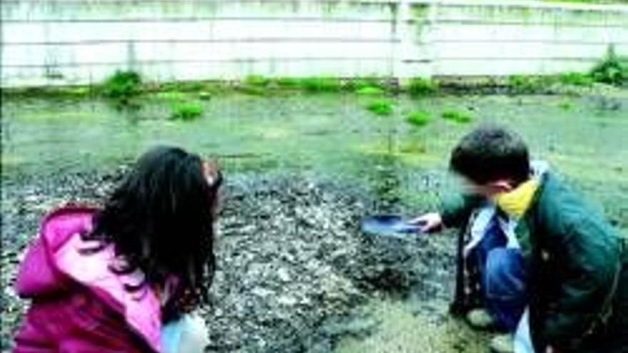 El colegio Campo Arañuelo irá a la huelga si no ve mejoras