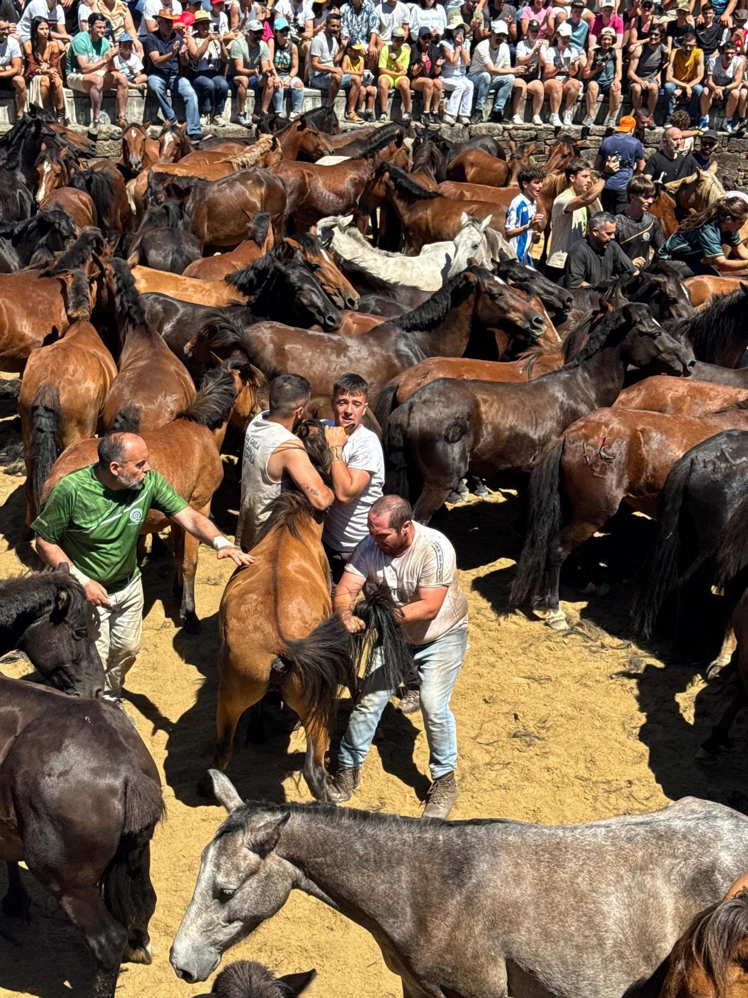 Sabucedo celebra su primera rapa como BIC