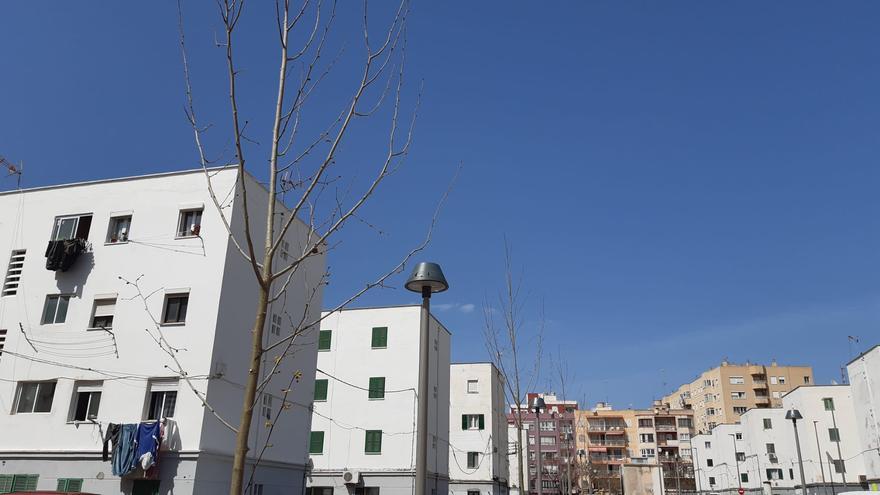 Veinte edificios de barrios vulnerables recibirán 500.000  euros para su rehabilitación