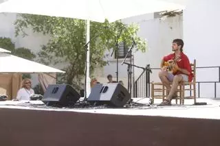 El encuentro de músicos callejeros, en imágenes