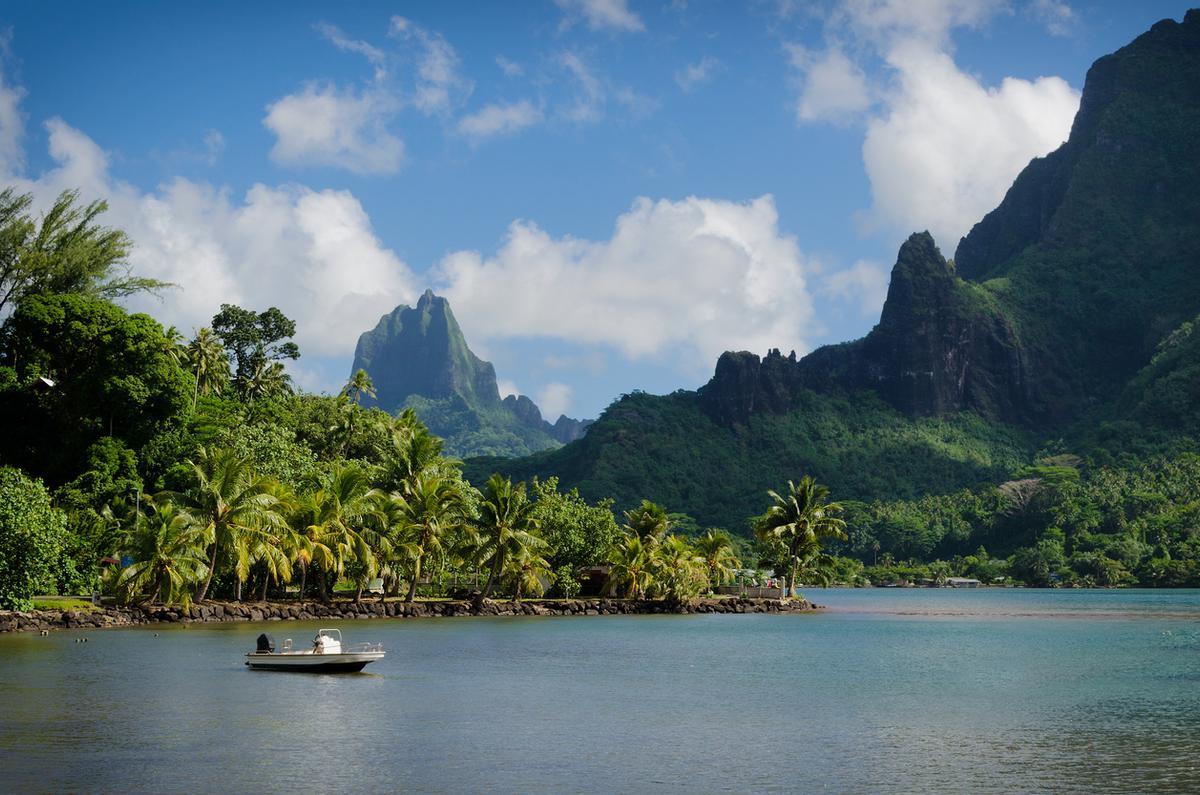 Moorea es una joya volcánica de la Polinesia Francesa famosa por su espectacular geografía: imponentes montañas verdes que se sumergen en una laguna cristalina.