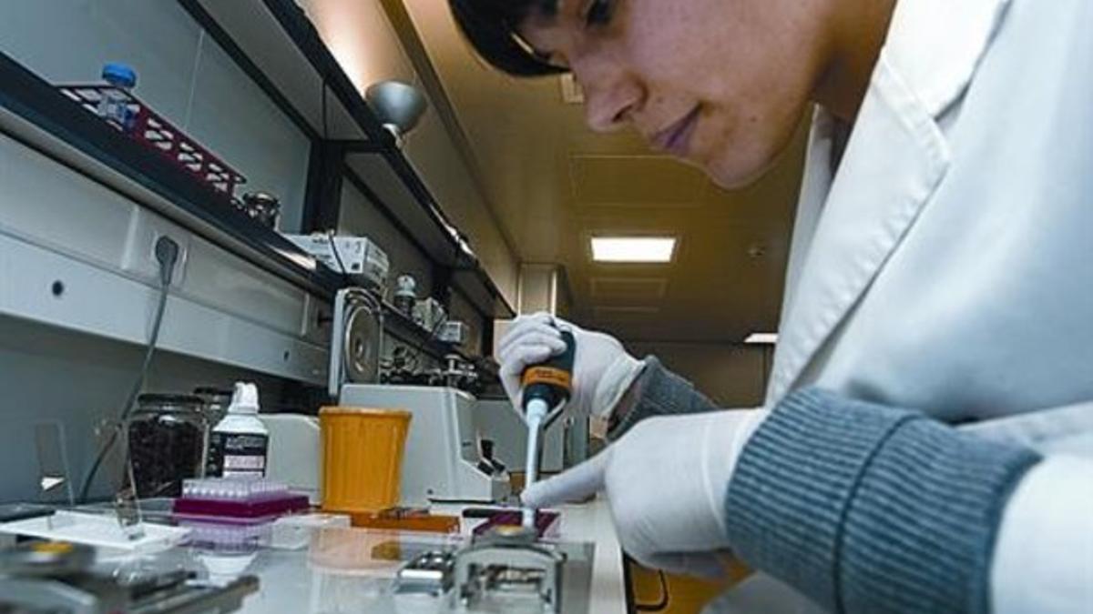 Trabajos de investigación en un laboratorio científico.