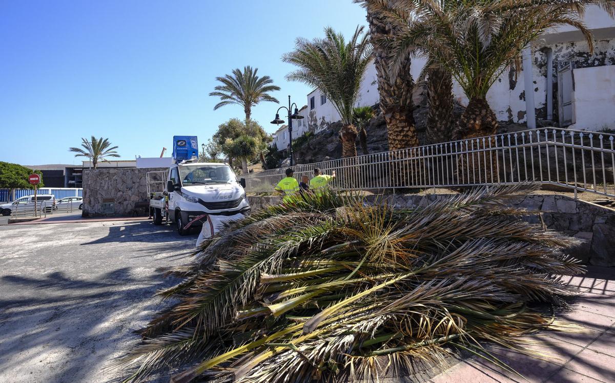 Preparativos en Arguineguín para la visita del papa León XIV a Gran Canaria