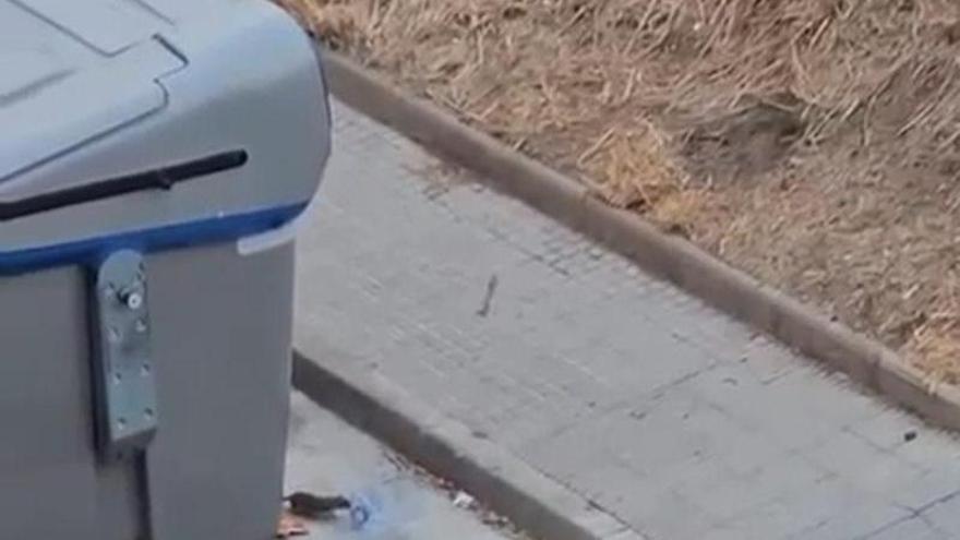 Rosegadors al contenidor del carrer Sant Llàtzer