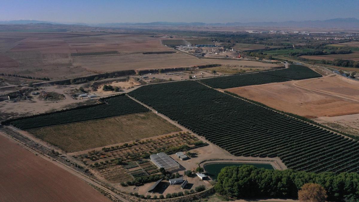 El grupo cuenta con una instalación solar fotovoltaica formada por 1.098 paneles