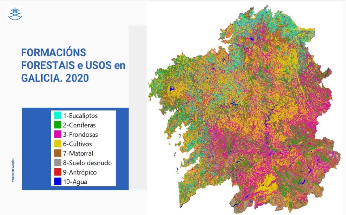 usos forestales en Galicia