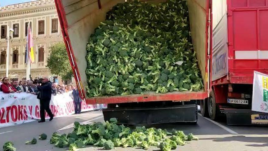 Vuelcan la carga de un camión lleno de brócoli frente a la Delegación del Gobierno