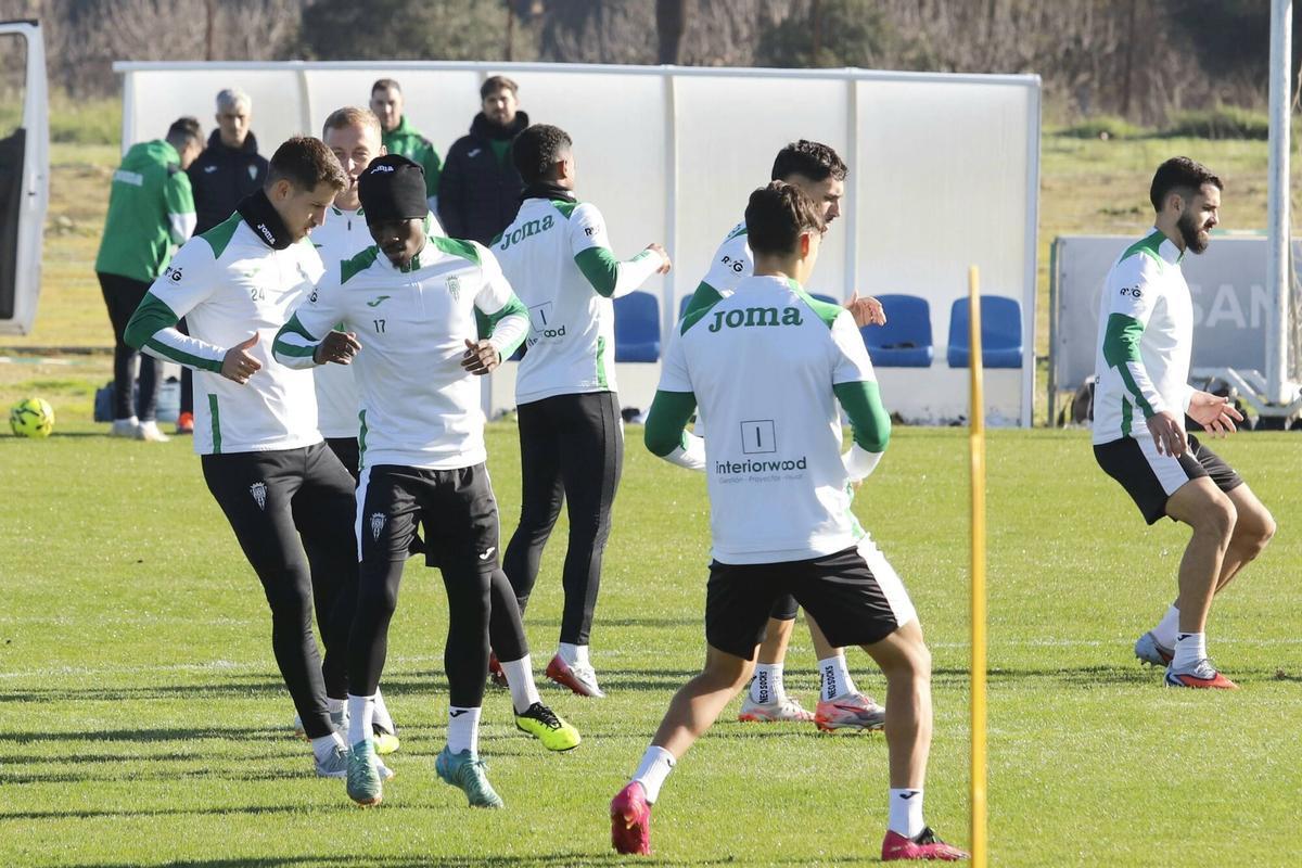 La vuelta a los entrenamientos del Córdoba CF, en imágenes