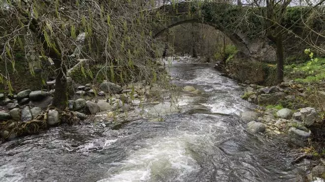 Fotogalería | Crecida del río Ambroz a su paso por Hervás después de las lluvias del martes 13 de enero