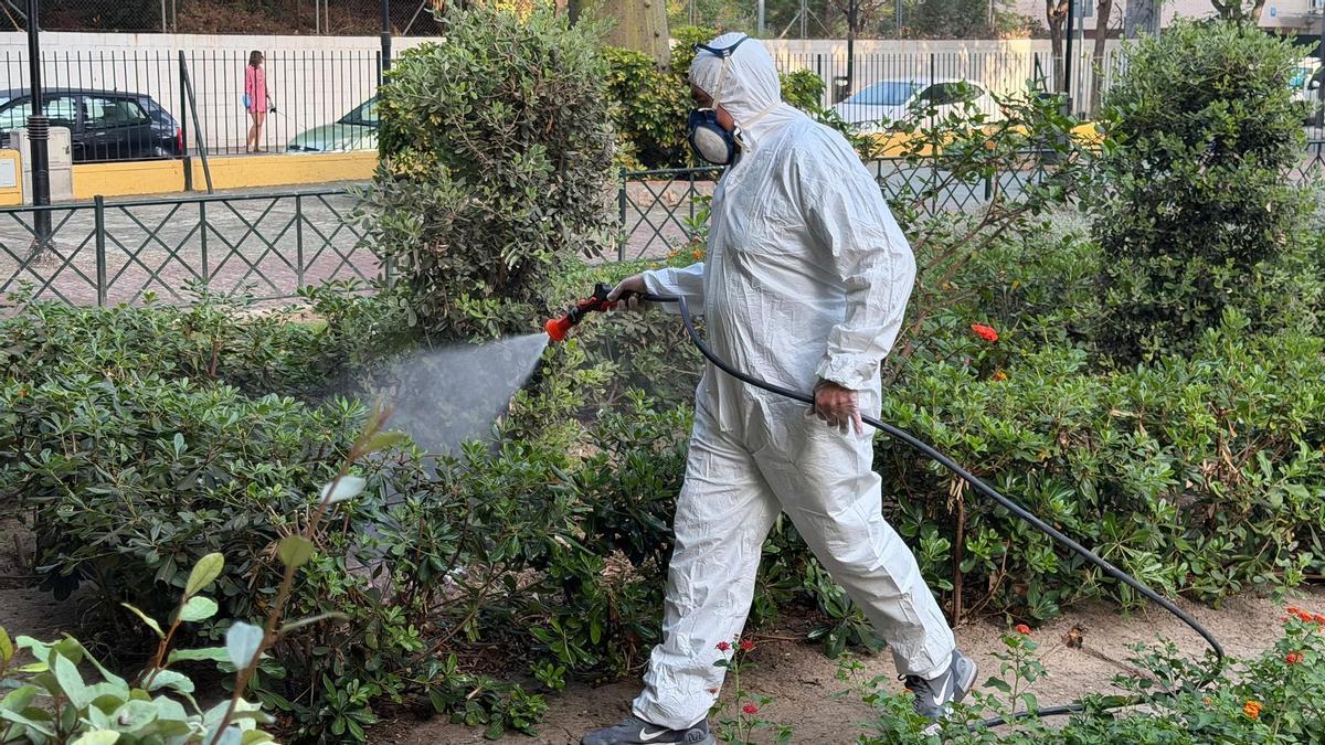 El Ayuntamiento de Mijas fumiga este miércoles tres parques en la zona de Las Lagunas.