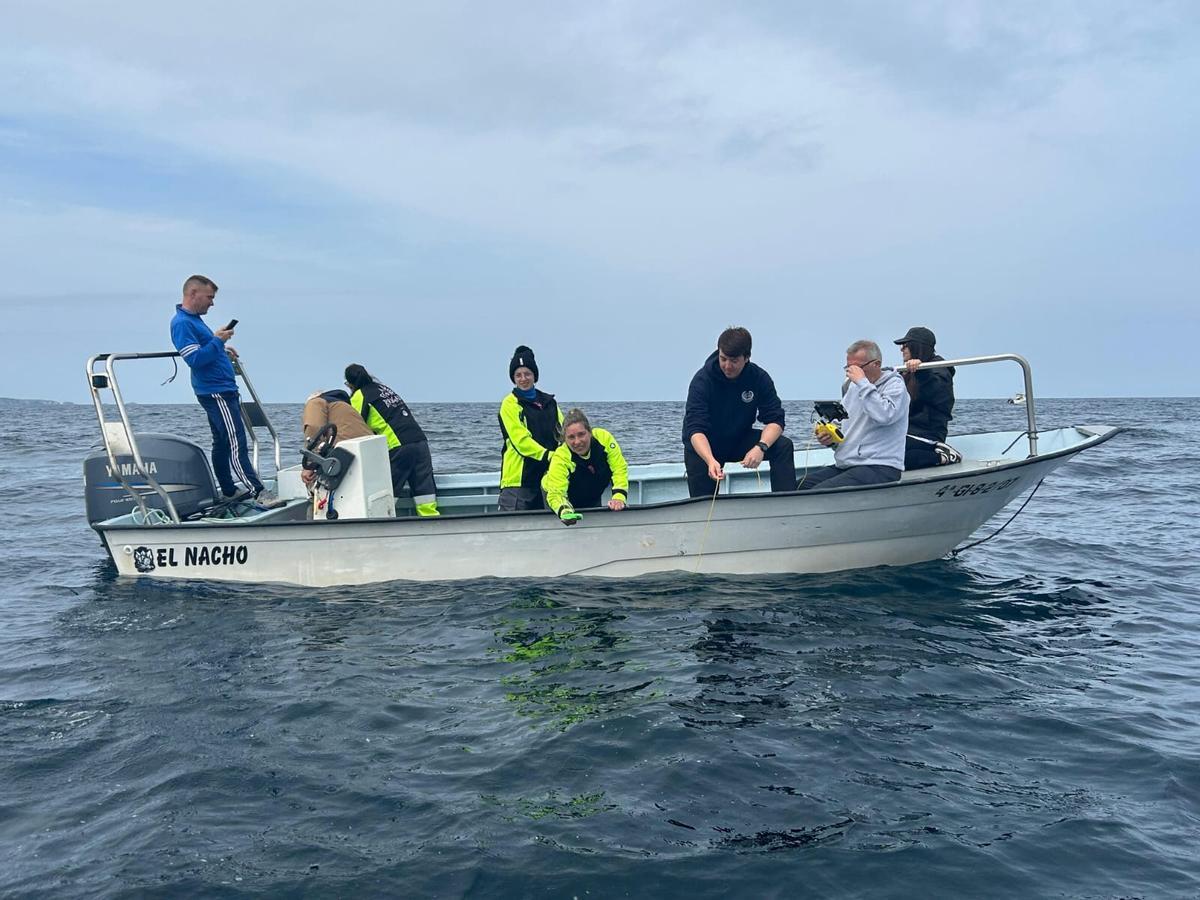 En imágenes: así fue la suelta de 500 laminarias en la costa de Luarca En imágenes: así fue la suelta de 500 laminarias en la costa de Luarca