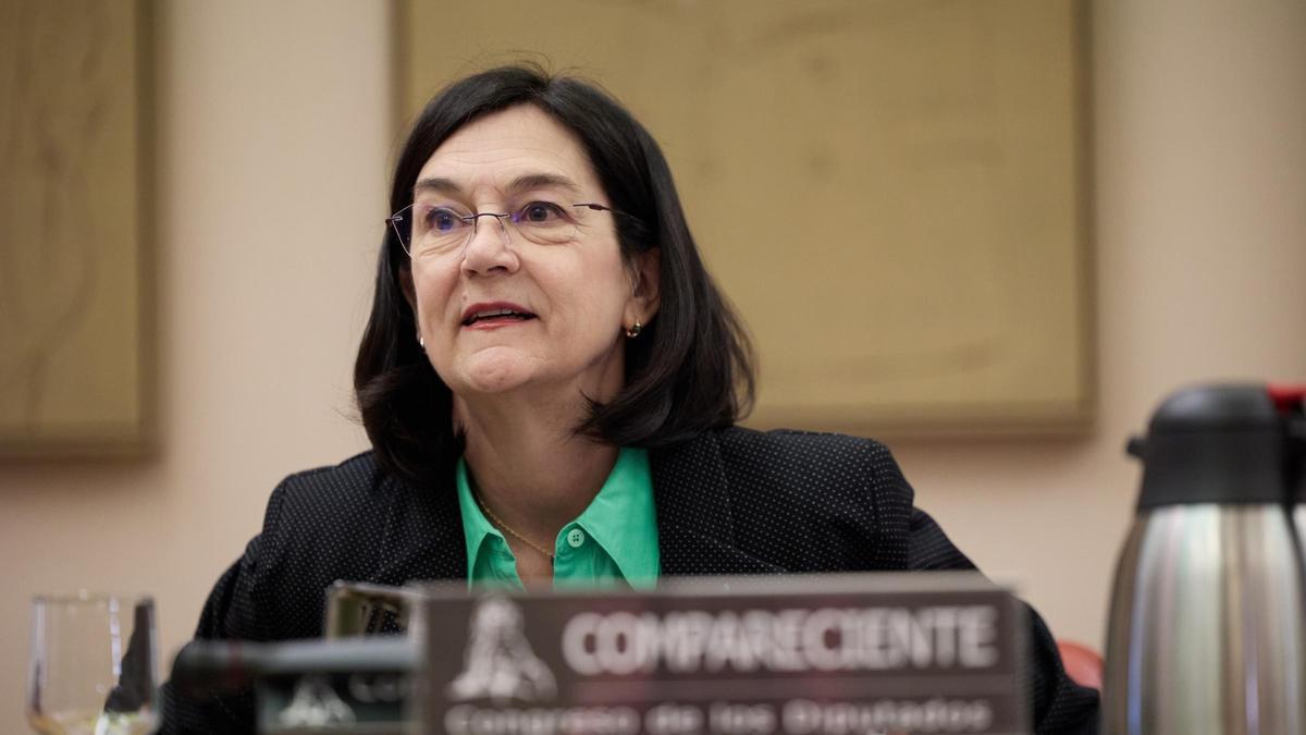 La presidenta de la Comisión Nacional de los Mercados y Competencia (CNMC), Cani Fernández, en el Congreso de los Diputados en septiembre.