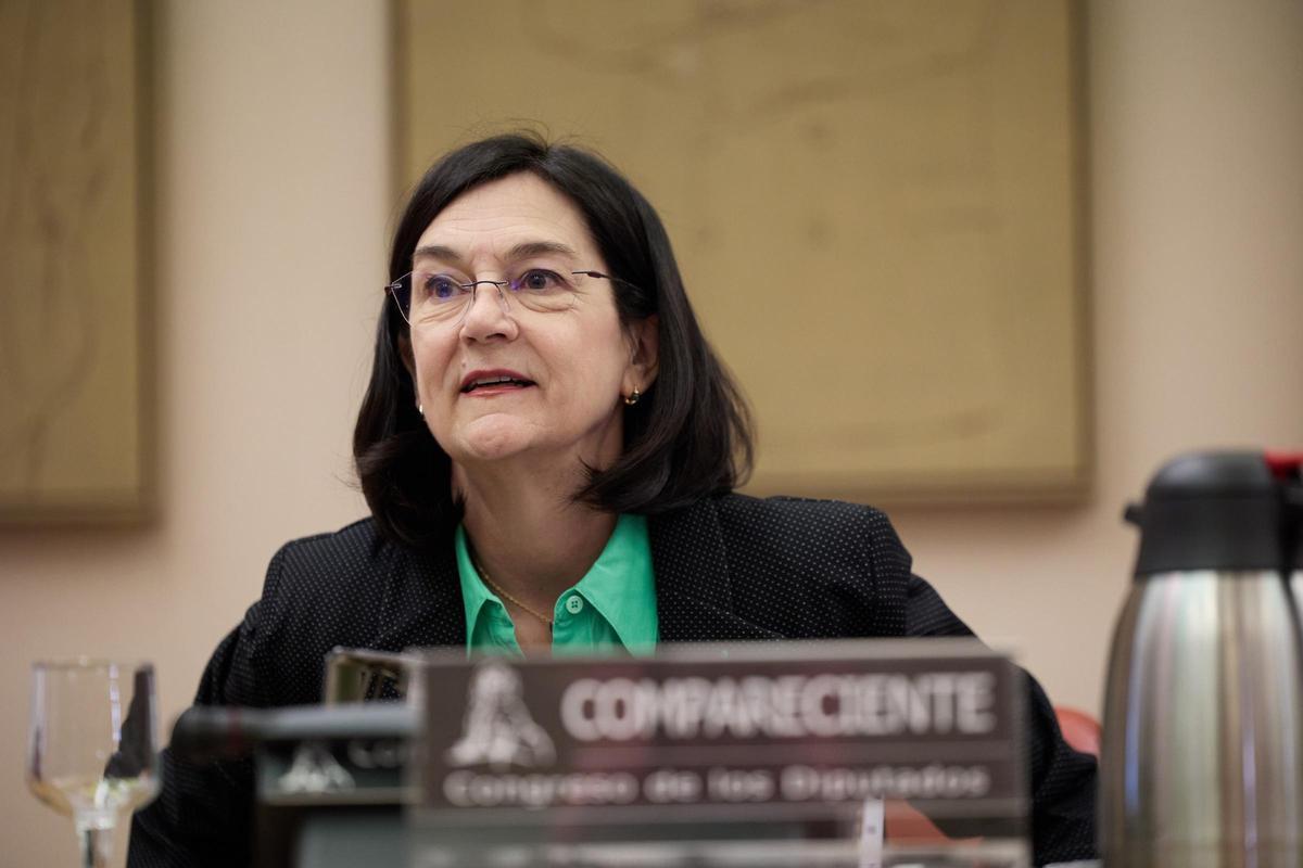 El Govern crea dos grups per investigar-ne les possibles causes El Govern crea dos grups per investigar-ne les possibles causes